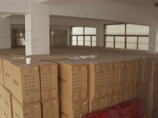 220V de suministro de energía de hierro eléctrico con capacidad de tanque de agua de 100 ml